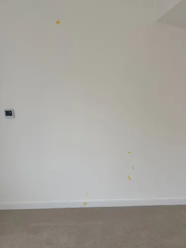 Check-out photo: scuffed bedroom wall