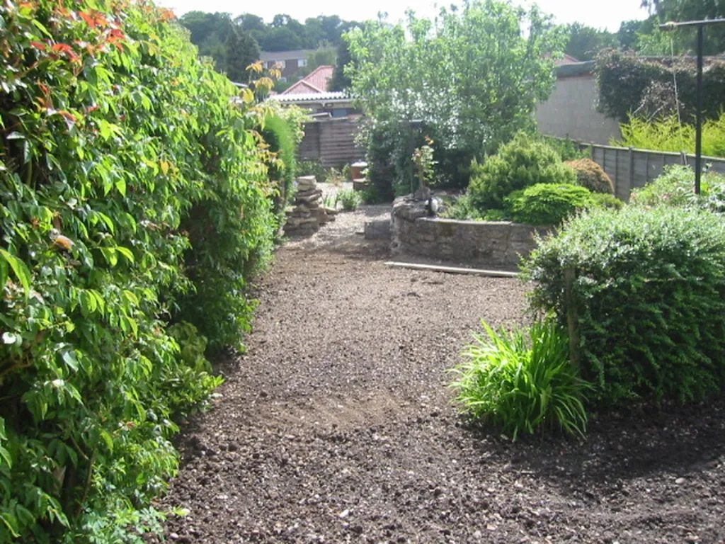 Check-out photo: overgrown rear garden border